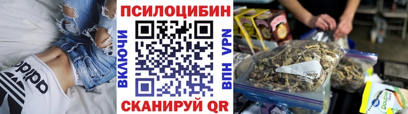Псилоцибиновые грибы Psilocybe  Прохладный 