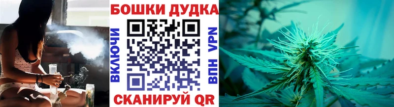 Бошки Шишки план  Прохладный 